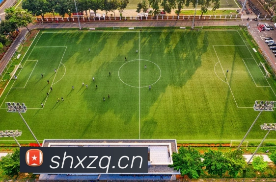 NBA季后赛晋级表全记录:球队胜负与关键战役盘点